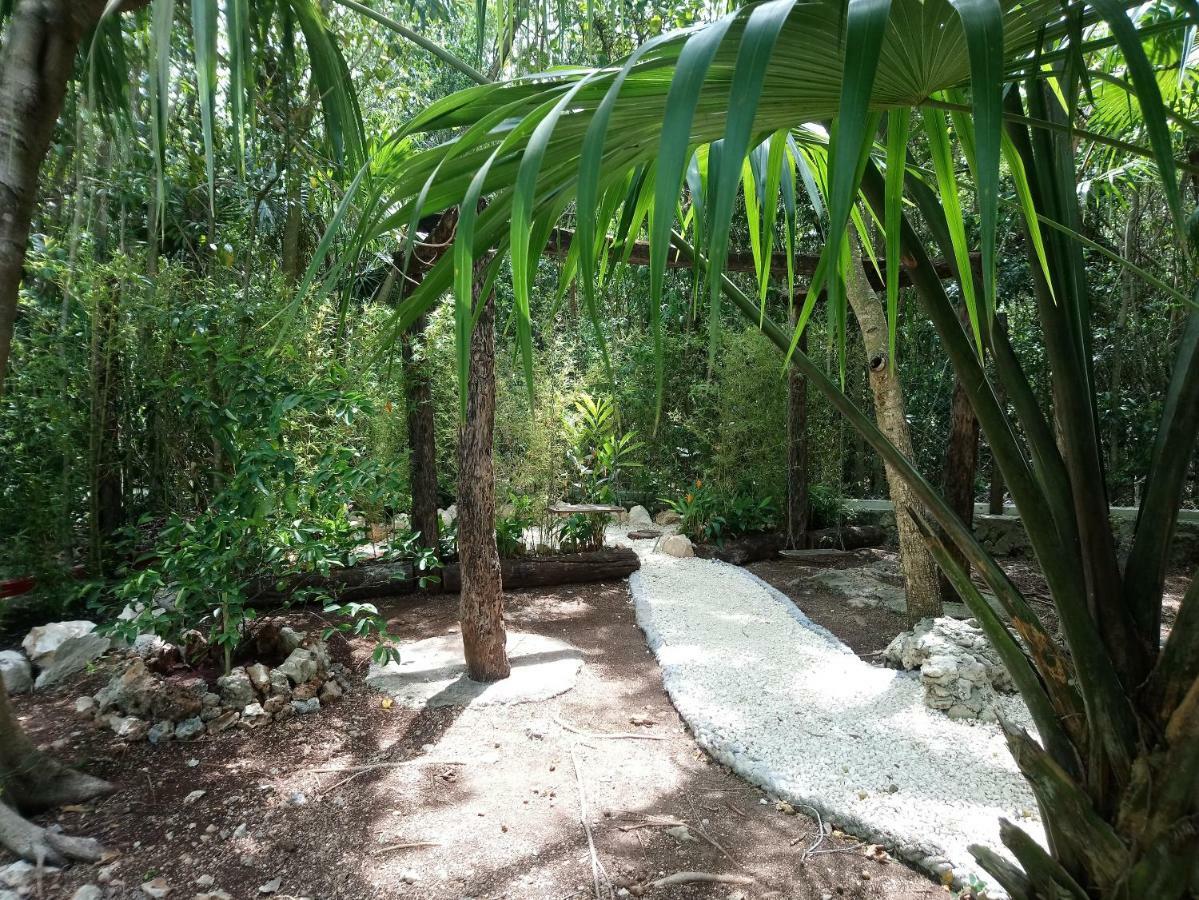 Casita Rustica En La Selva Hotel Cancun Exterior photo
